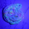 Opalescence - Image 3